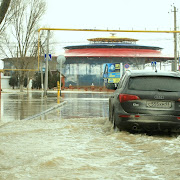 Февральские сюрпризы природы