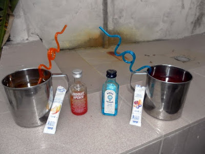 Crazy straws and booze.  Good gifts. Hint Hint