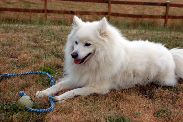 [DSC_6787%255B4%255D.jpg]