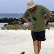 Sea Lion and tourist
