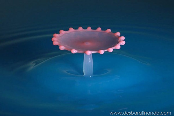 liquid-drop-art-gotas-caindo-foto-velocidade-hora-certa-desbaratinando (146) liquid-drop-art-gotas-caindo-foto-velocidade-hora-certa-desbaratinando (146)