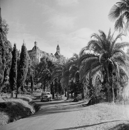 clip_image072 clip_image072