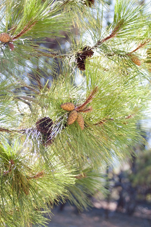 [20120713-IMG_6211%255B3%255D.jpg]