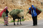 Southern Tunisia_2009.04.06 093.JPG