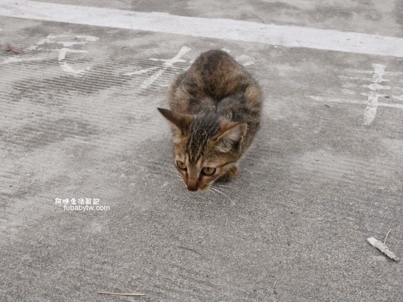 調整大小P1000847 調整大小P1000847