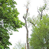 Dropping the top with rope
