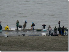 IMG_5699 IMG_5699