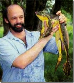 Goliath frog Goliath frog