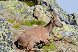 DSC_0316.JPG