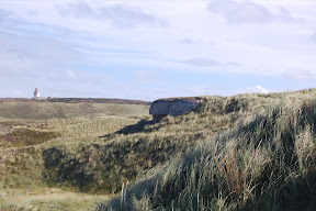 DSC_0488.JPG
