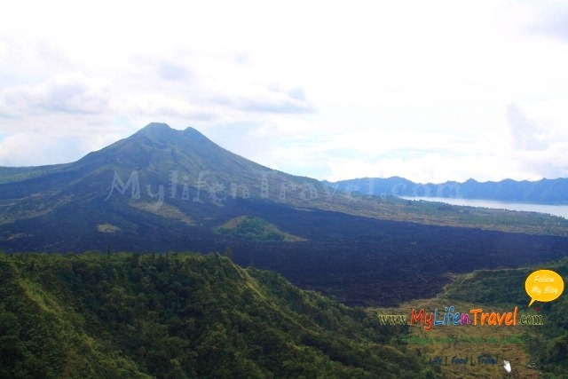 Kintamani 19 Kintamani 19