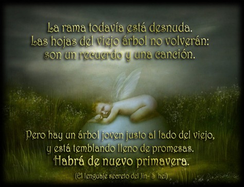 primavera