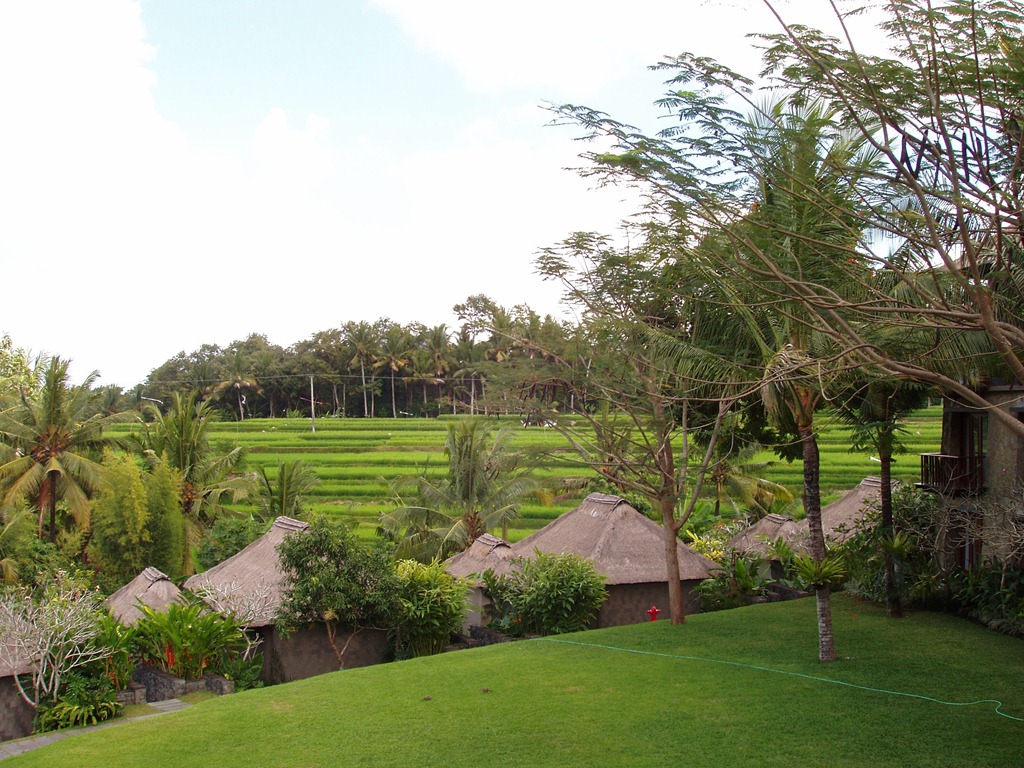 [mayaP7300123%255B4%255D.jpg]