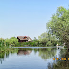 IMG_7698.JPG