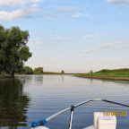 IMG_8226.JPG