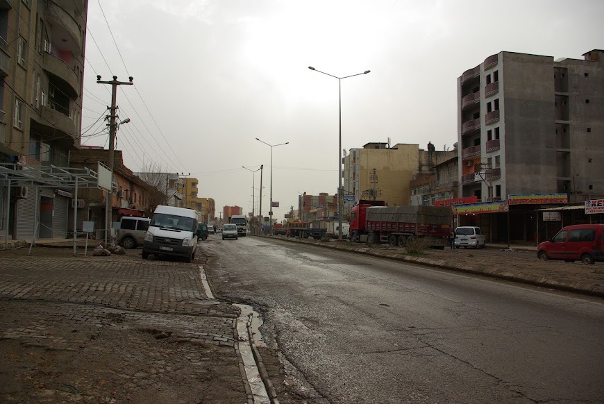 IMGP3180.jpg