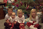 IMGP4211.jpg IMGP4211.jpg