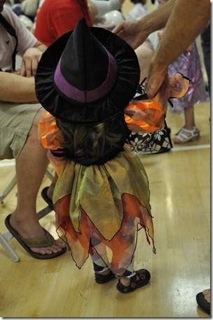 DSC_6131 DSC_6131