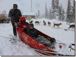 Dog sled 2014, snow 019 - Copy