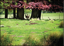 Explore the Lovely Countryside in the UK