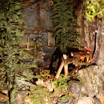 1513-9.JPG