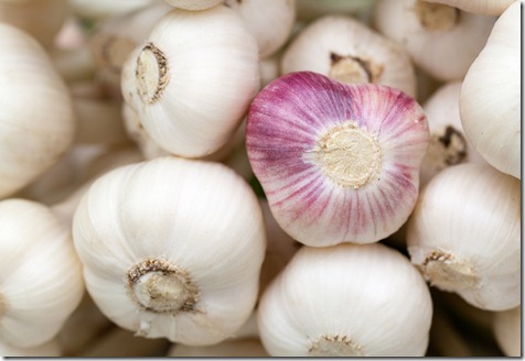 fresh garlic fresh garlic