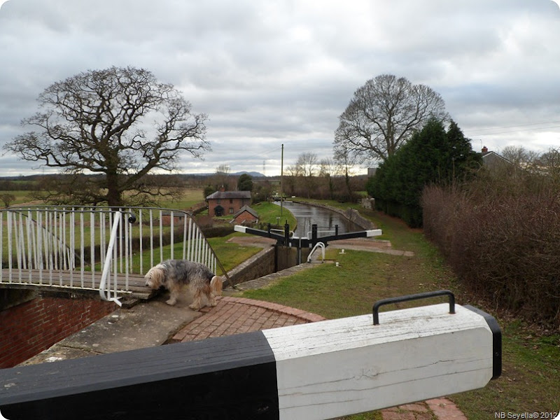 SAM_0013 Frankton Locks SAM_0013 Frankton Locks
