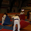 Tenshinkan Cup 2011