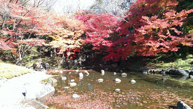 [IMAG05443.jpg]