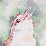 170_sq_tn 170_sq_tn