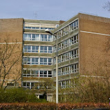 IMGP0101.jpg