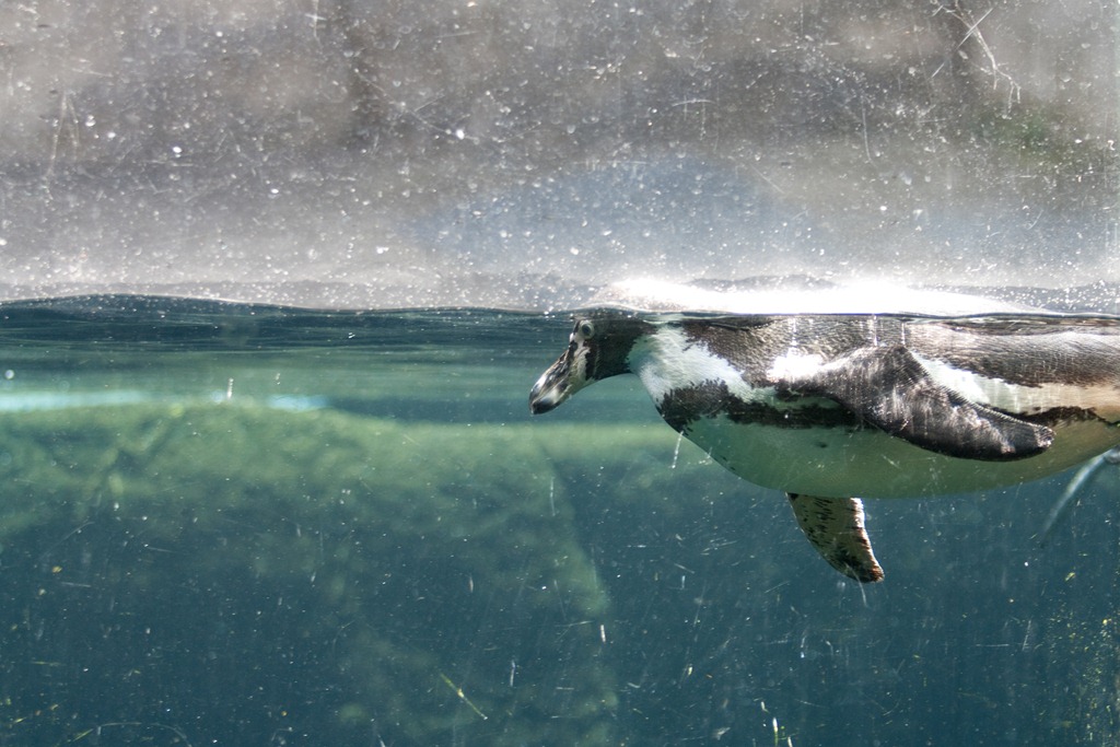 [20120716-IMG_65734.jpg]