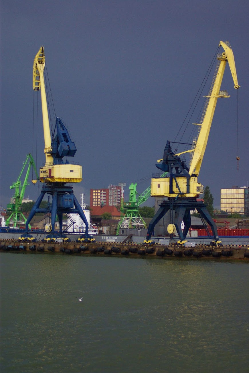 IMGP8535.JPG