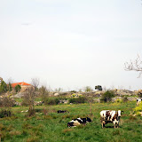 Paisajes