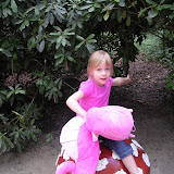 Zomer 2010