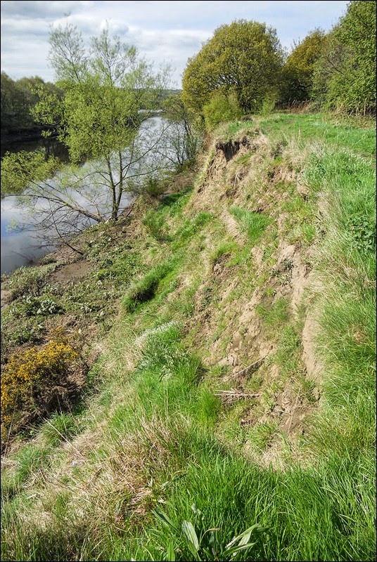 River Tyne