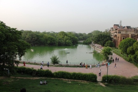[IMG_1764%255B3%255D.jpg]