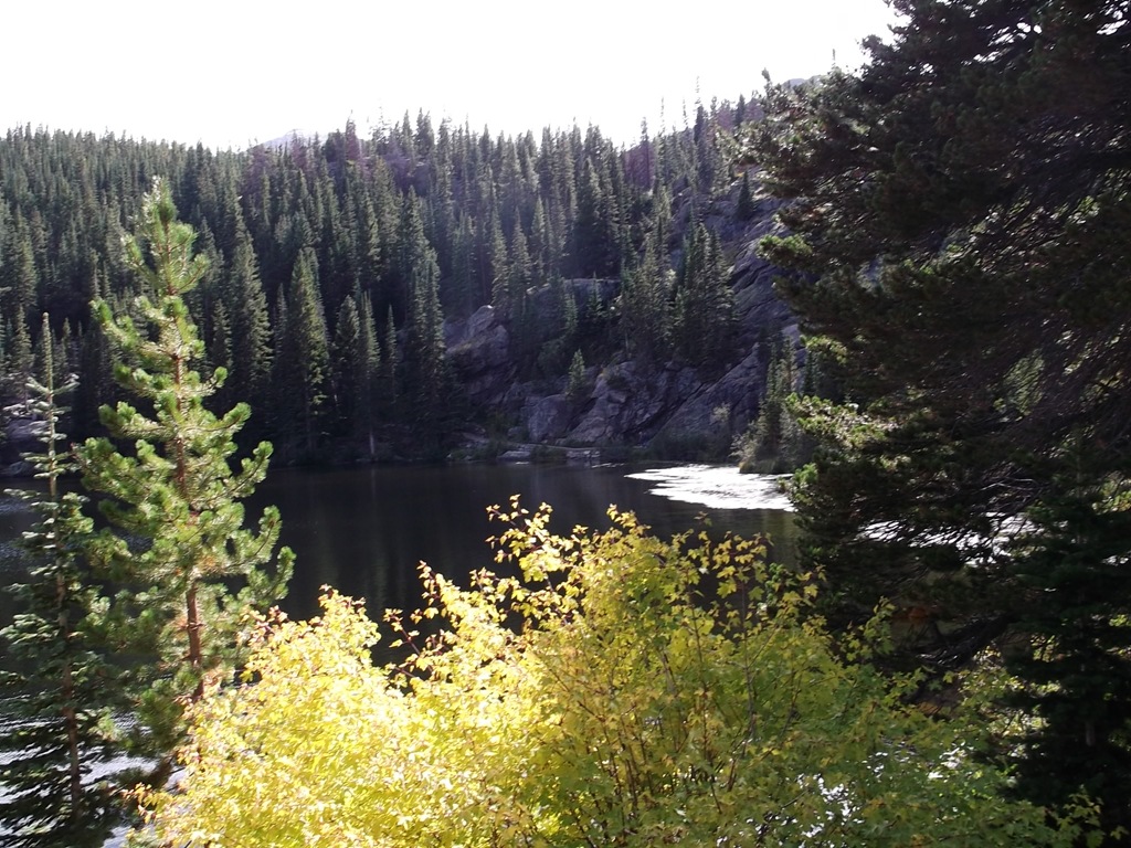 [DSCF11514.jpg]