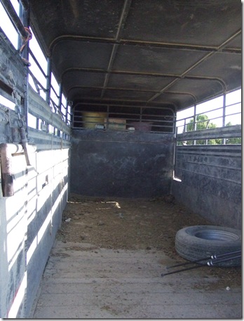 blog pic 6 into the horse trailer DSCF4519 (2)