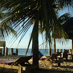 DSC_0166.JPG