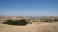 DSC03000.jpg
