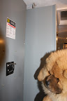 What do you suppose would happen if I flipped this switch?