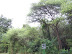 South Africa Day 1 - On Safari