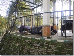 DSCN0674 DSCN0674