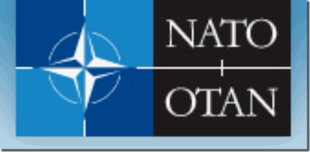 OTAN: Organización del Tratado del Atlántico Norte