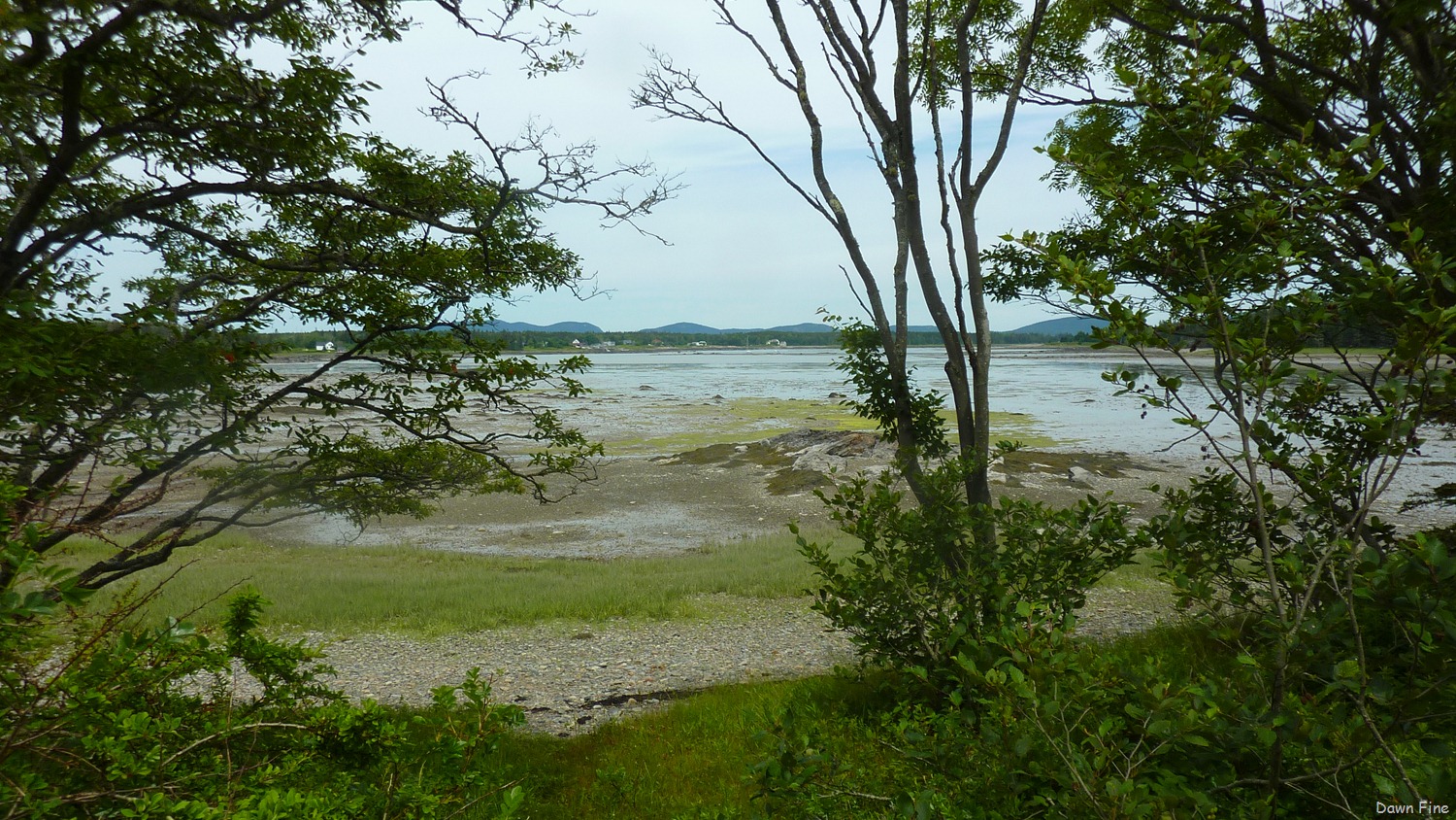 [Acadia-National-Park_1383.jpg]