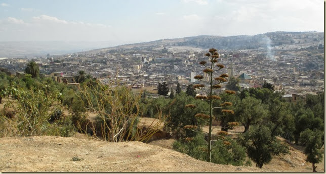 The Medina in Fez