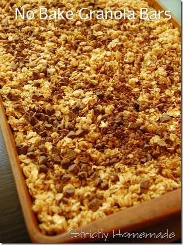 No Bake Granola Bars