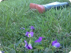 IMG_20120329_184852