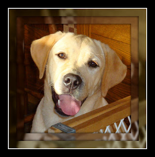 Brinkley